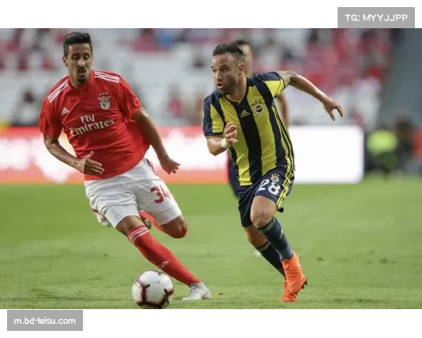 欧联杯焦点:费内巴切主场火力全开连续四战均收获两球 欧联杯焦点:费内巴切主场火力全开连续四战均收获两球